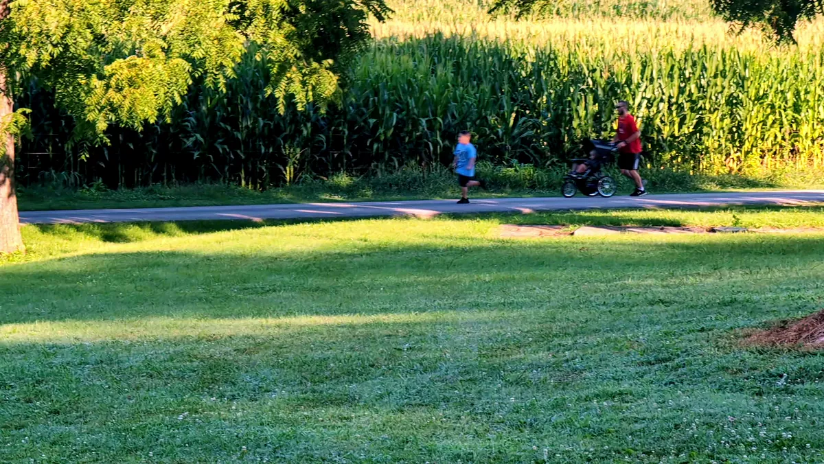 A child walking the path beside the cornfield at golden hour